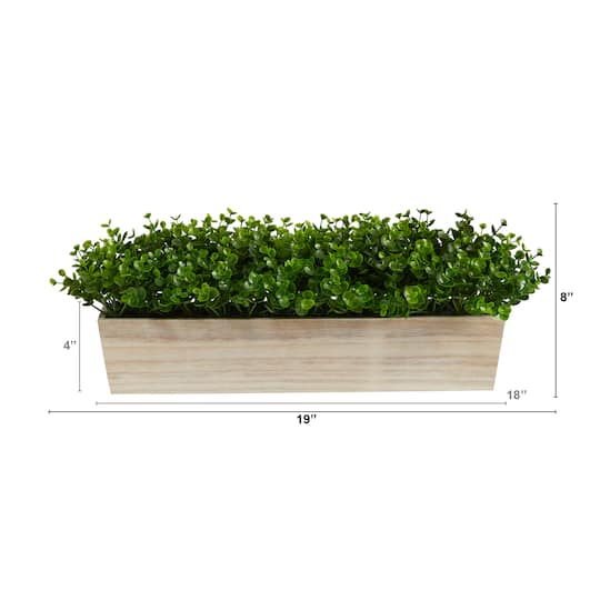 8" Eucalyptus in Decorative Planter